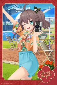 预览