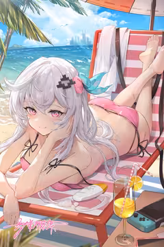 预览