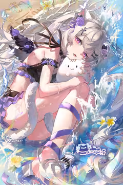 预览
