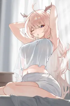 预览