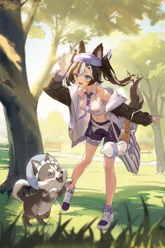 预览