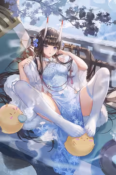预览