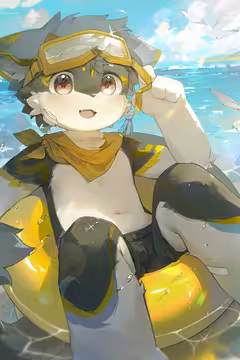 预览
