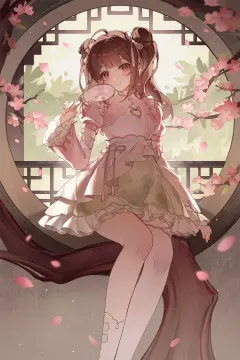 预览
