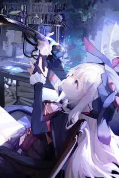 预览