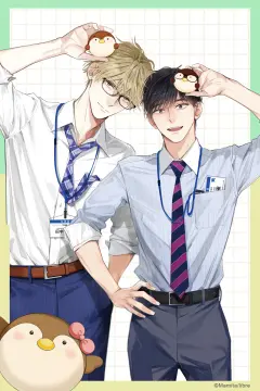 预览