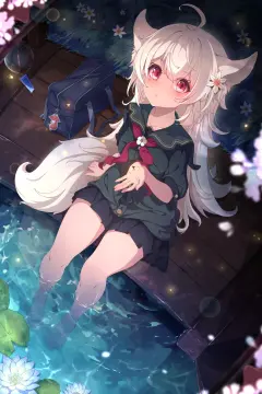 预览