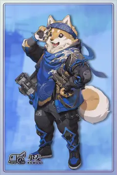 预览
