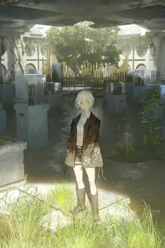 预览