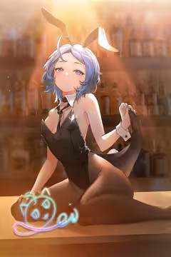 预览