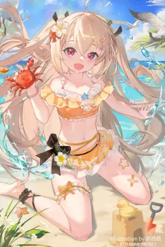 预览