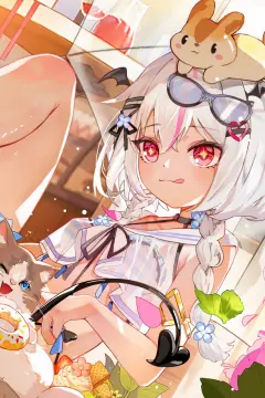 预览