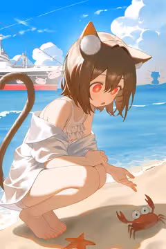 预览