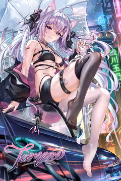 预览