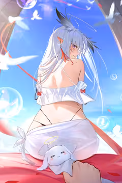 预览