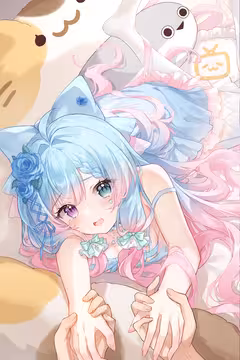 预览