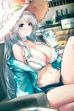 预览