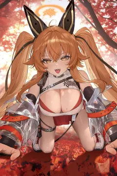 预览