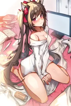 预览