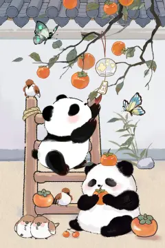 预览