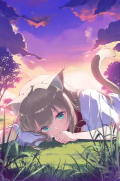 预览
