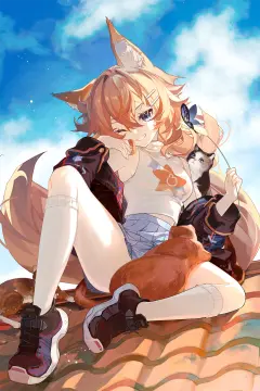 预览
