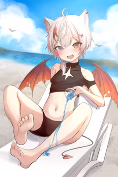 预览
