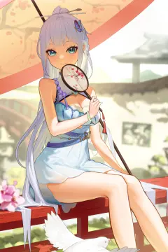 预览
