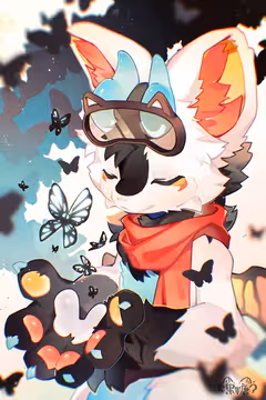 预览