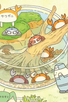 预览