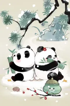 预览