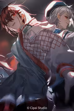 预览