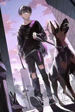 预览