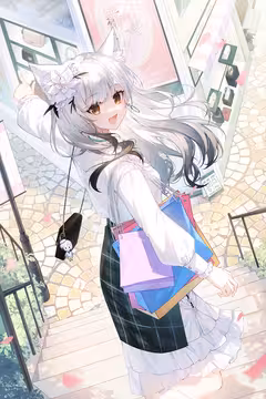 预览