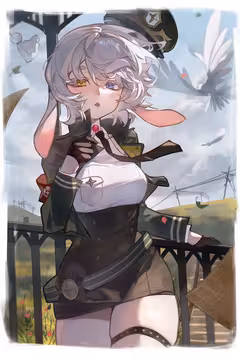 预览