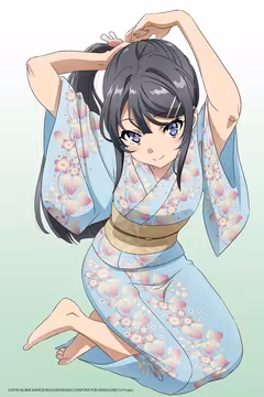 预览