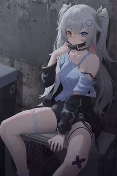 预览