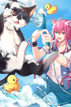 预览