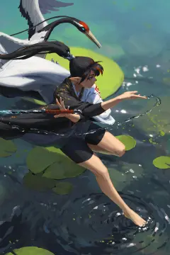 预览