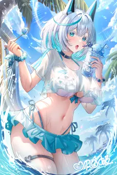预览