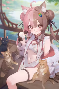 预览