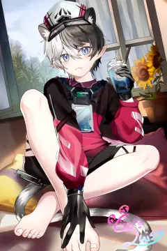 预览