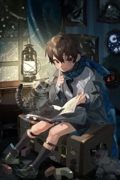 预览