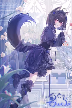 预览