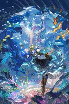 预览