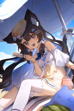 预览