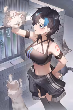 预览