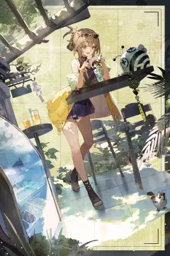 预览
