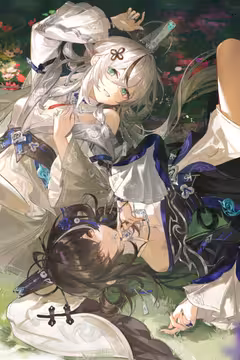 预览