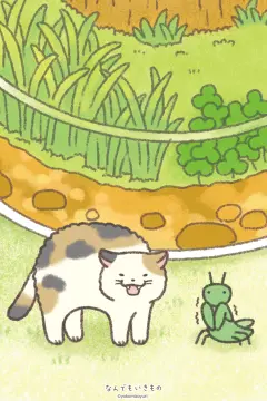 预览
